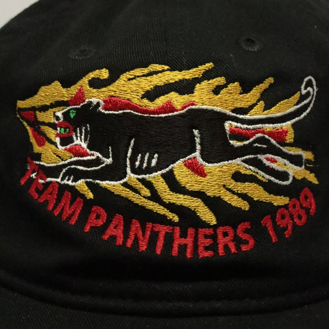 "Team Panthers Hat"(BLK)