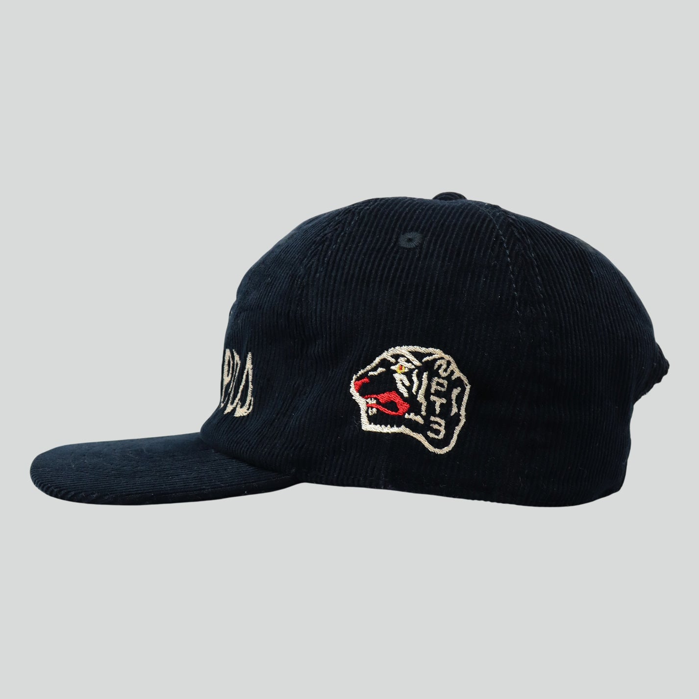 "Panthers Corduroy Hat" (BLACK)