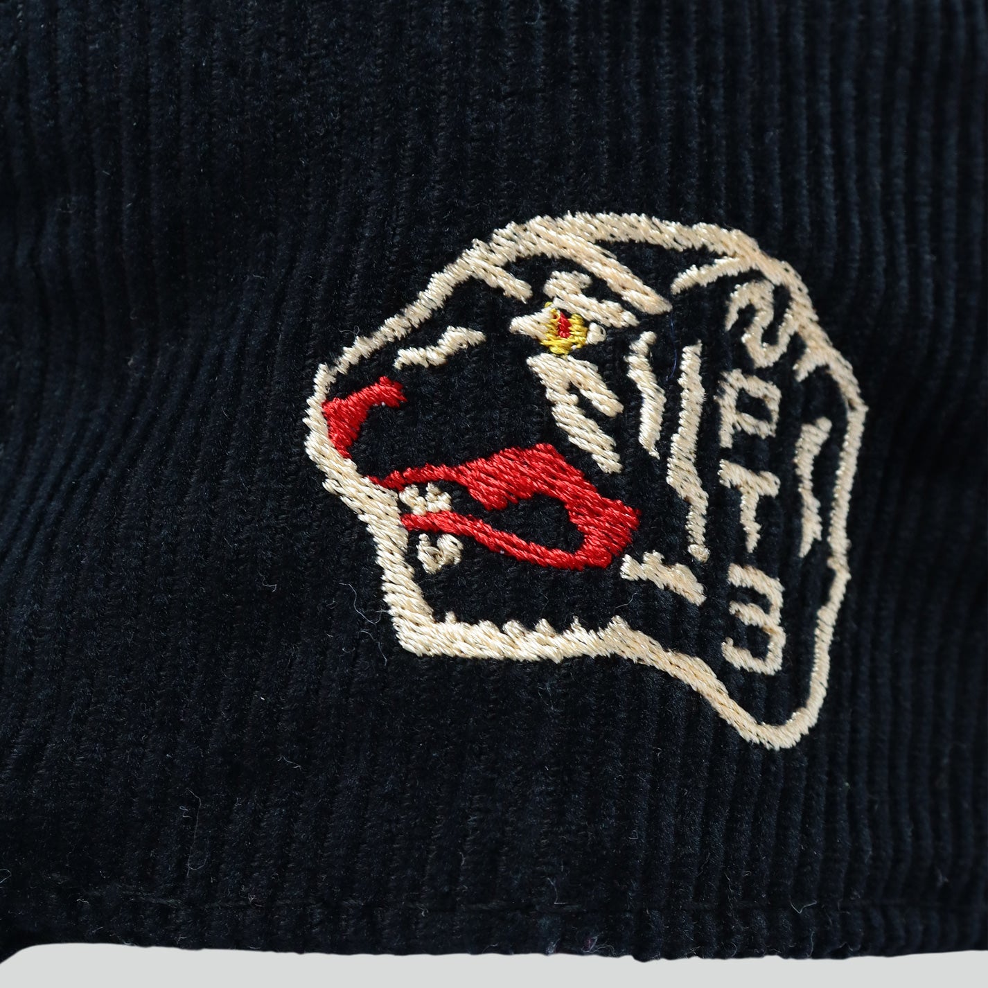 "Panthers Corduroy Hat" (BLACK)
