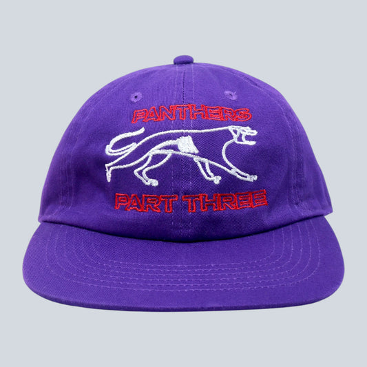PANTHERS Hat