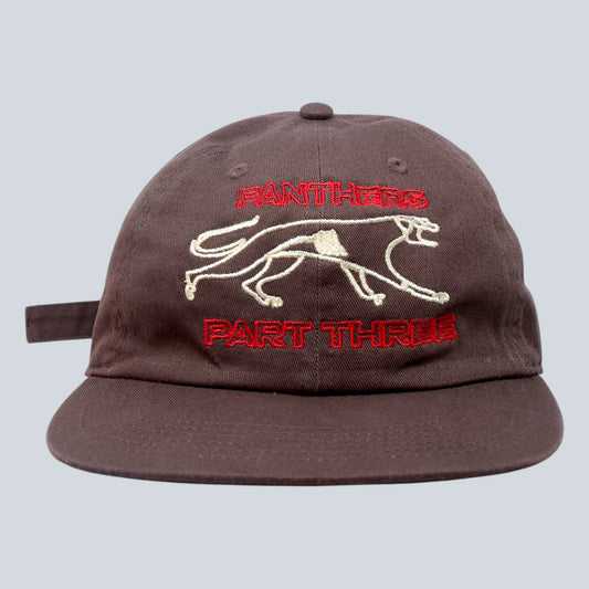 PANTHERS Hat