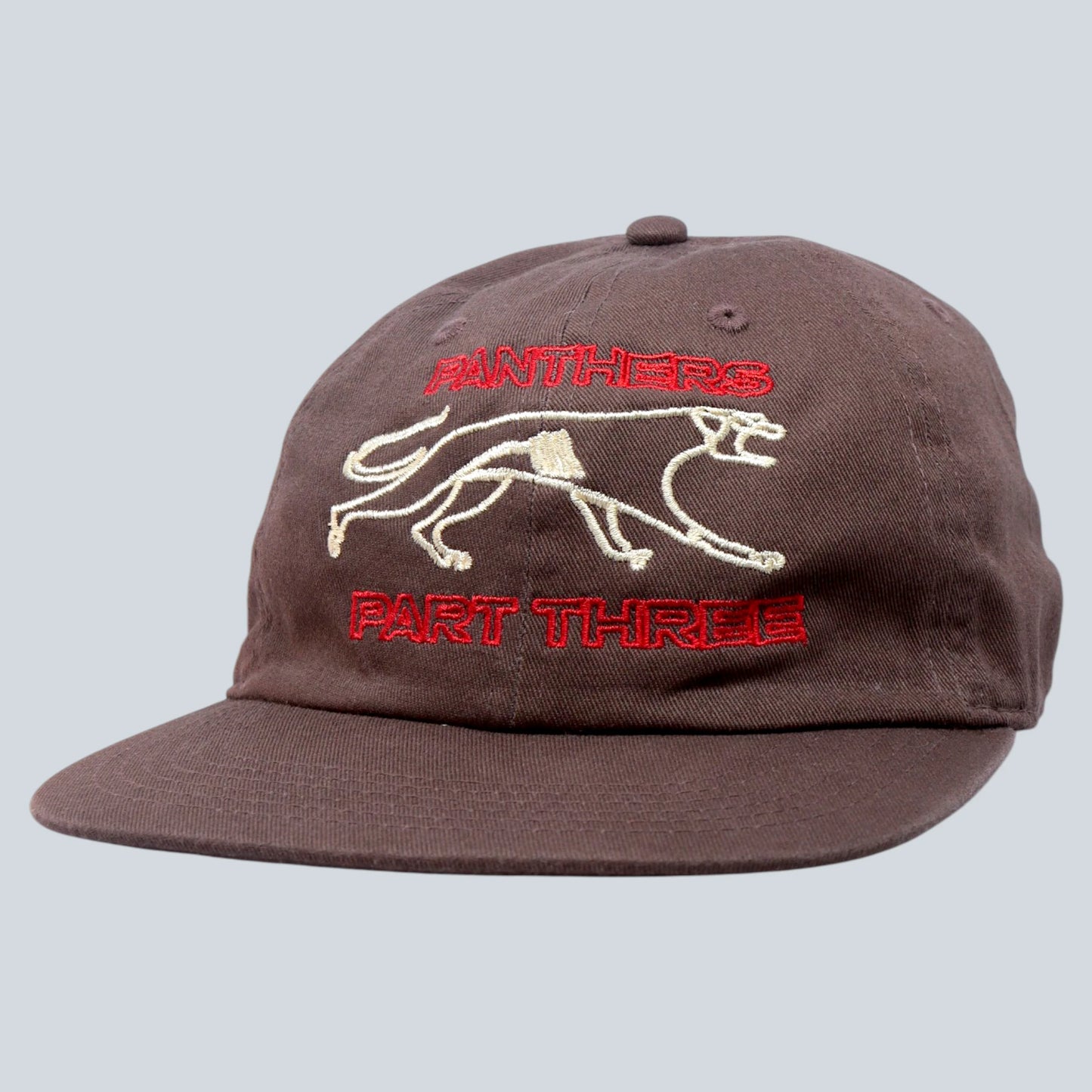 PANTHERS Hat