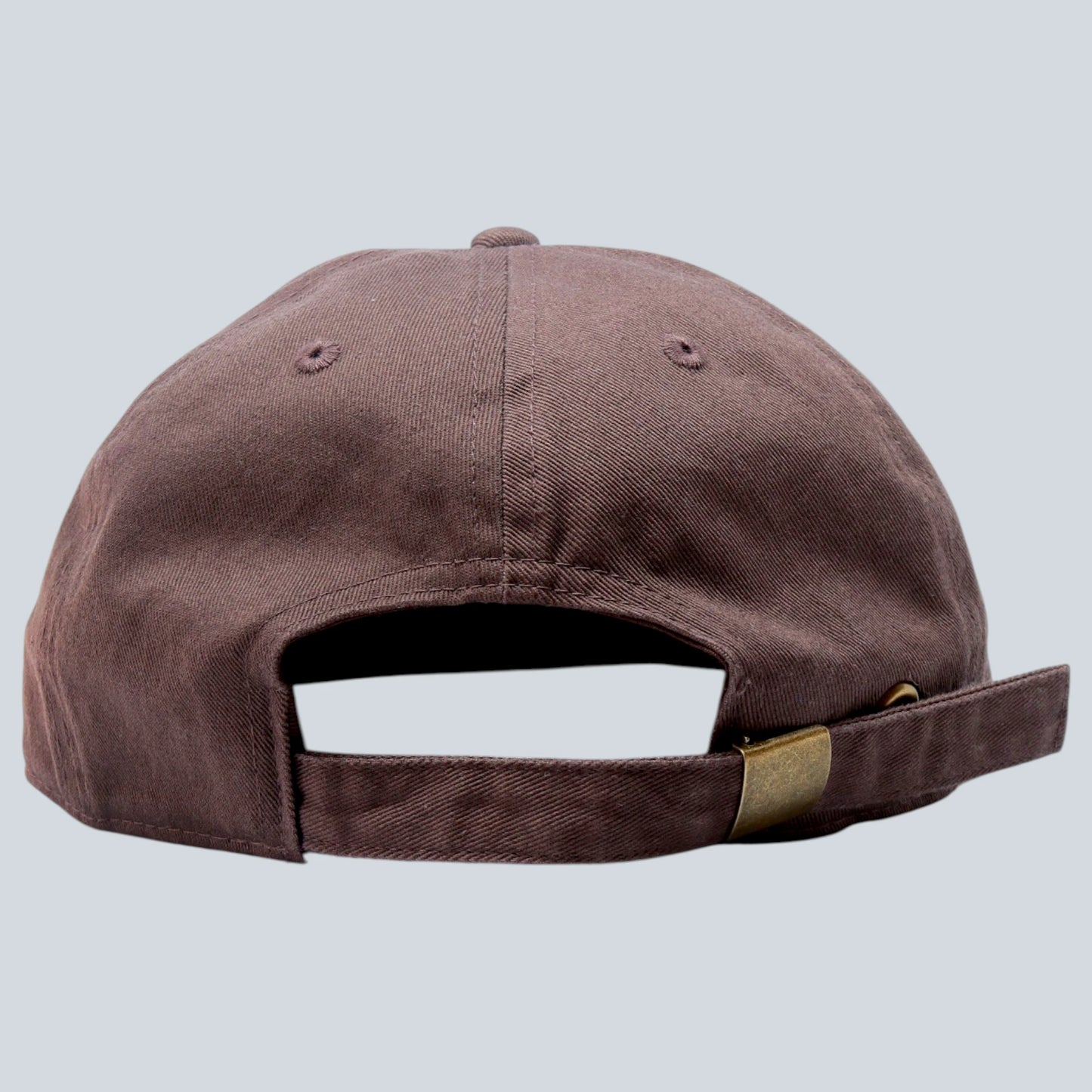 PANTHERS Hat