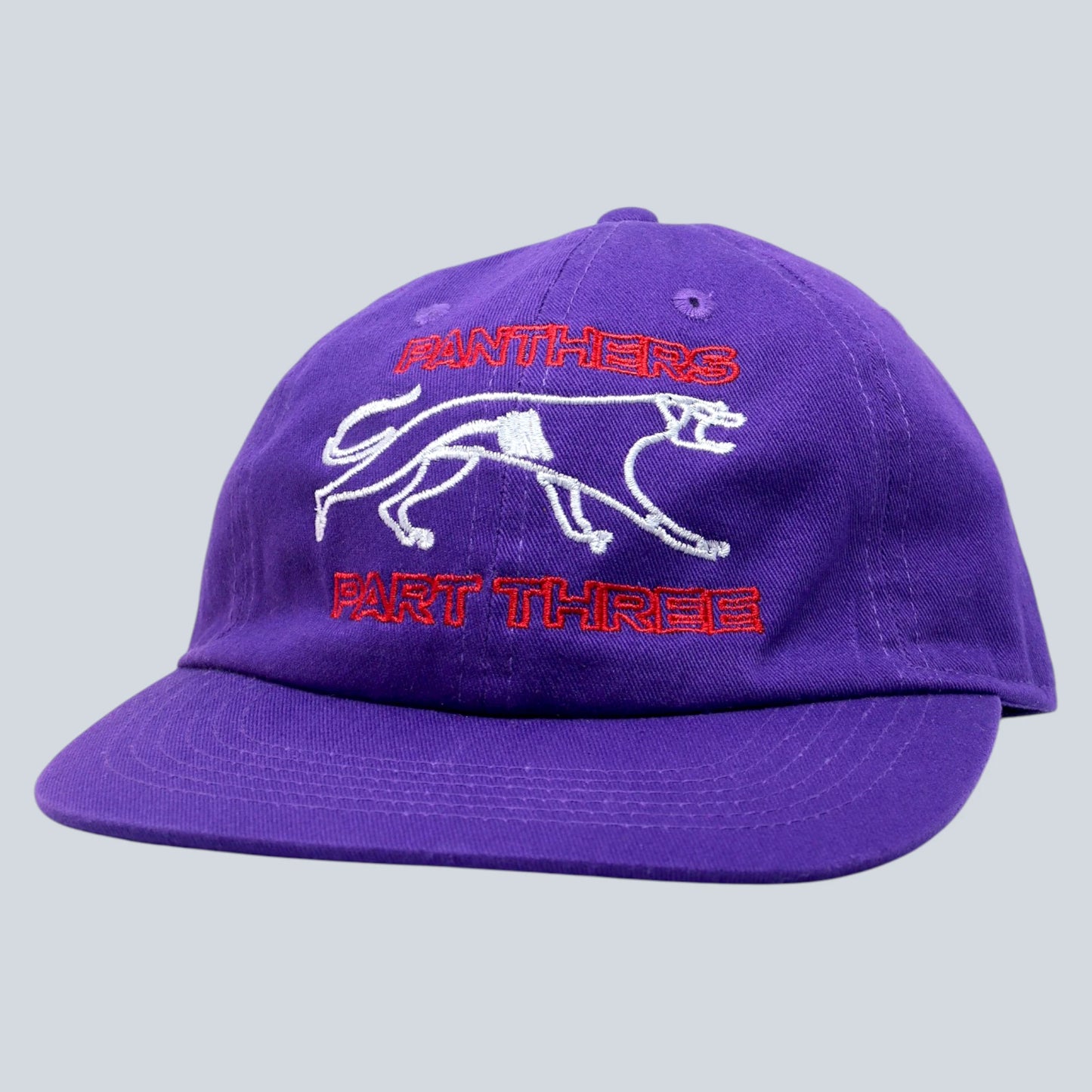 PANTHERS Hat