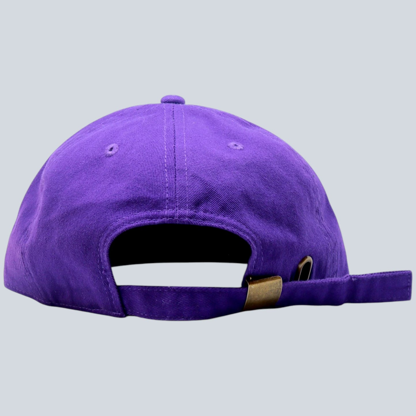 PANTHERS Hat